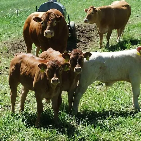 Appartamento Weiherblick, Vulkaneifel
