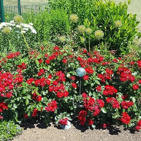 Weiherblick, Vulkaneifel Appartamento Mosbruch