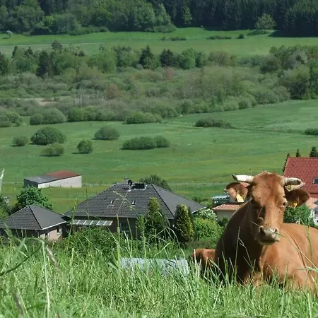 Weiherblick, Vulkaneifel Appartamento *